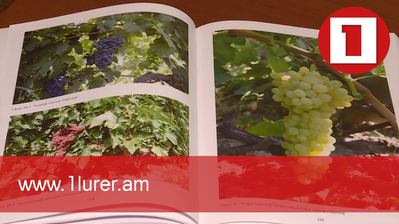 Հրատարակվել է «Խաղողի և գինու հայոց մշակույթը» գիրքը