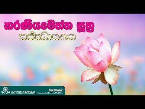 කරණීයමෙත්ත සූත්‍ර සජ්ඣායනය ~ Ven. Kiribathgoda Gnanananda Ther