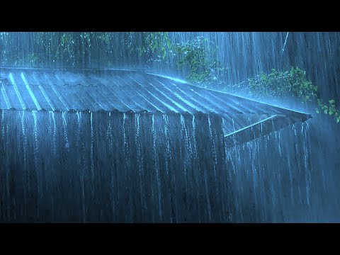Beat Stress Within 3 Minutes to Sleep Soundly with Heavy Rain & Thunderstorm on a Tin Roof at Night