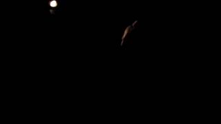 Nils Frahm live at Nu:classic 2014, Babylon, Bratislava (part 2)