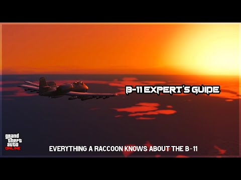 B-11 experts guide