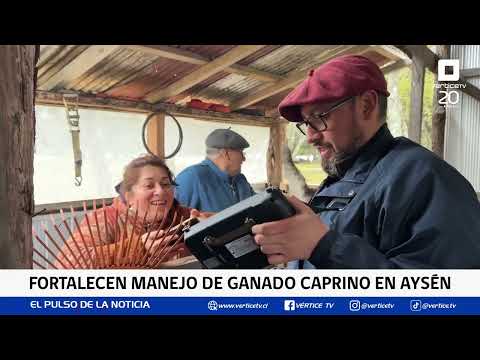 Programa caprino fortalece la producción de carne en La Junta y Lago Verde
