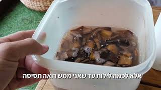 שיטה חסכונית וסופר יעילה לדישון צמחי הבית, המרפסת והגינה