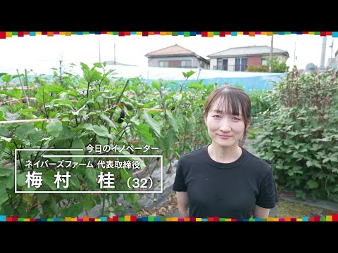 明るい都市と適応した農業