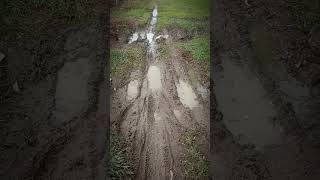 Download lagu Luar biasa! Suasana syahdu jalan pedesaan di Sumatera Selatan. mp3 Download lagu Luar biasa! Suasana syahdu jalan pedesaan di Sumatera Selatan. mp3
