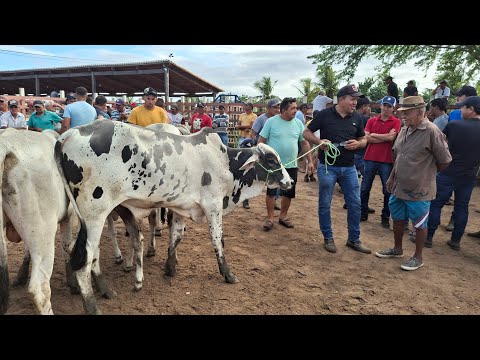 FEIRA DO GADO DE LAGOA DE PEDRAS-RN 20.07.2026