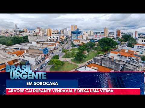 Vendaval em SP: árvore atinge carro e causa morte em Sorocaba | Brasil Urgente