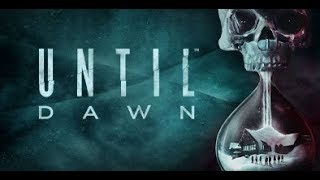 Cabin in the Woods |Until Dawn #2