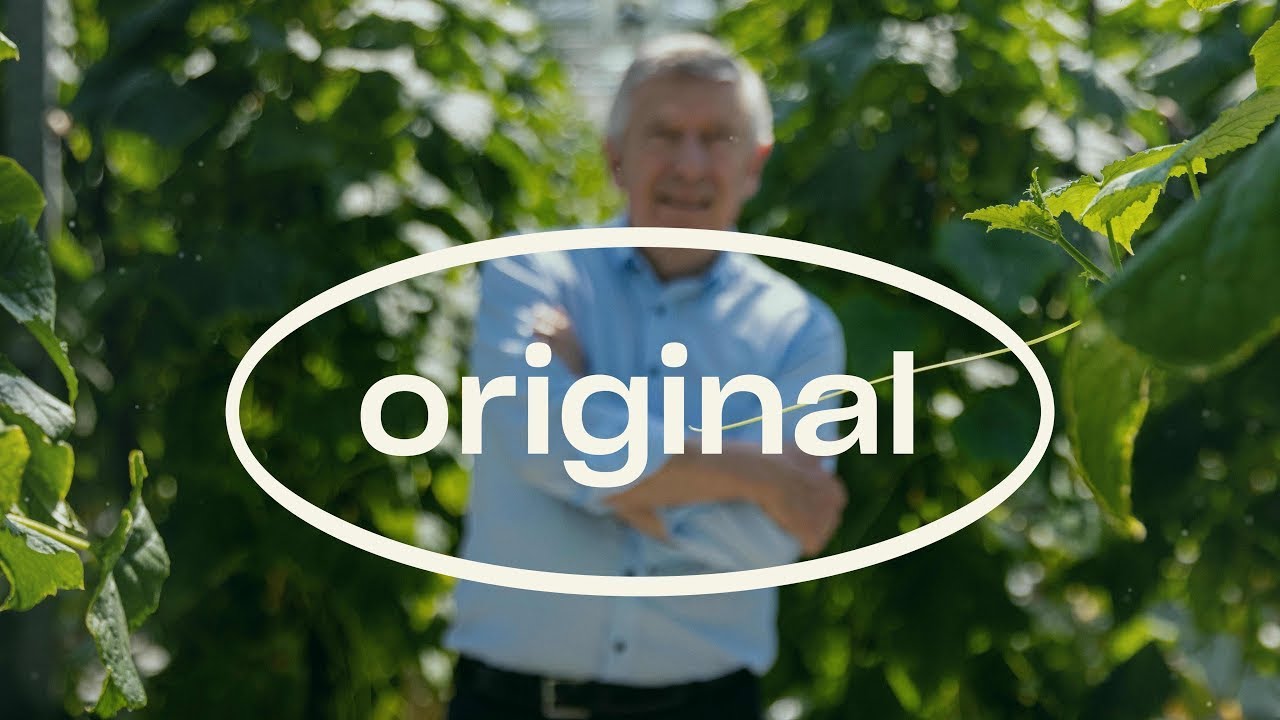 Video preview poster