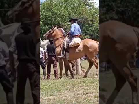 FINAL PROVINCIAL RUMBO A JESÚS MARIA 26🐴 Cayasta-Santa Fe📌🤠Jinete Emmanuel Córdoba🌹ig:juli_oficial15