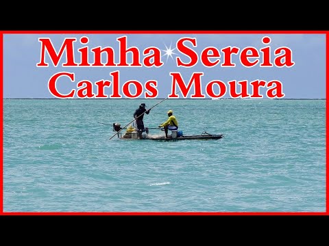 Minha Sereia Carlos Moura Mergulhar no Azul Piscina No Mar de Pajuçara