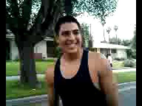 TOKER BEAR VS PANCHO