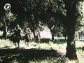 Das Schwert Des Königs 1963