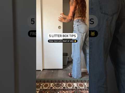 Litter Box Tips #catmom #catshorts #cats