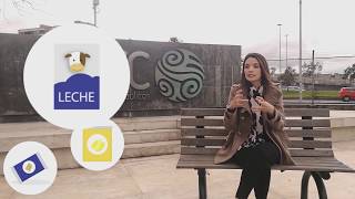 ¡Recicla y recibe descuentos! - Entrevista en Canal Institucional