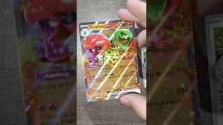 Premium Ogerpon Pokemon Collection Box Opening for my Birthday!