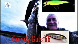 Pontoon 21 greedy guts 66sp sr