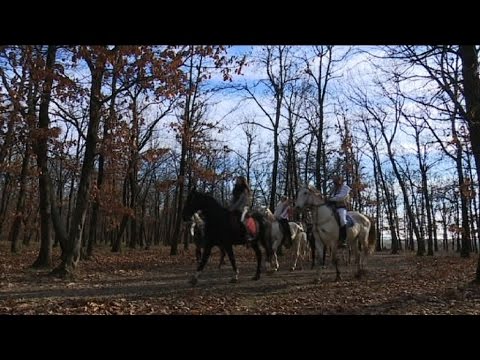 LA PAS PRIN OLTENIA -  DRUMETIE IN SAUA CAILOR BOBICESTI