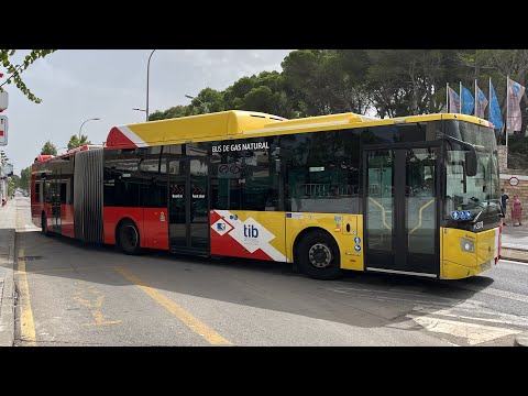 Grupo Ruiz: 324 to Alcúdia | Castrosua New City / Scania N320 - 2078 / 4829 LLD
