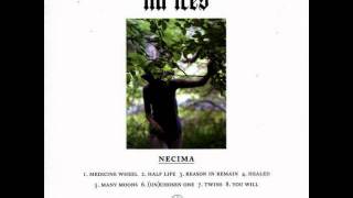 Lia Ices - Medicine Wheel