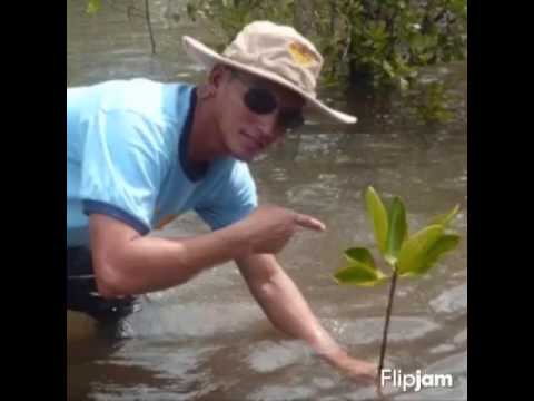 Bye-bye tribute for saff heroes