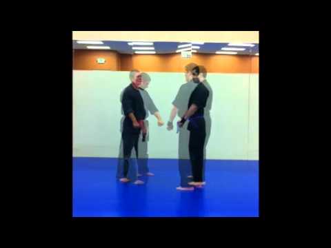 Kitsune Ryu Bujitsu - Adult White Belt Blocks & Covers