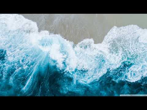 Pole Folder - Scared To Lose