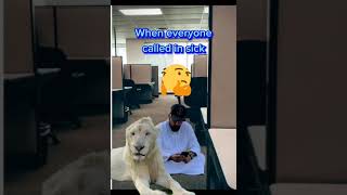 Yikes !!! #funny #animals #lions #shorts