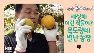 [나는농부다 272회 1부] 세상에 이런 작물이? 옥도령네 별난 농장
