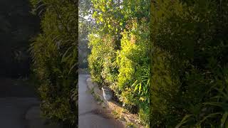 Download lagu 17 Oktober 2023 mp3 Download lagu 17 Oktober 2023 mp3