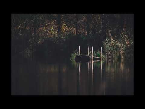 Sounds of the Bayou (New Orleans Delta Blues Music)
