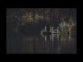 Sounds Of The Bayou New Orleans Delta Blues Music