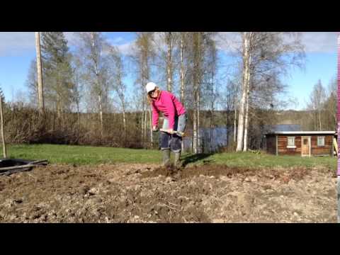 Odla med Lena. Gräva