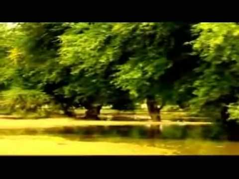 Melaku Chachessa - Tolee (Oromo Music)