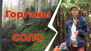 preview picture of video 'Соло-поход в Западных Горганах (Карпаты, Украина)'