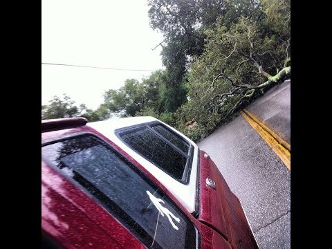 Drive from Santa Barbara to Malibu.