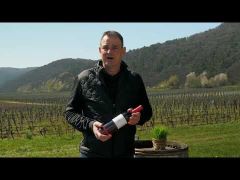 6 Weine aus der Südpfalz - Weinprobe  - Round Table