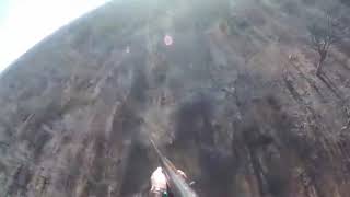 Dagbreek Skietspan - Thabazimbi Blue Wildebeest Cull