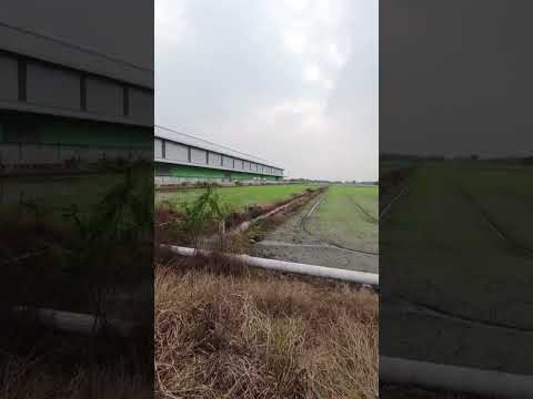 ที่ดิน 40 ไร่ สำหรับทำโครงการบ้าน ไทรน้อย ใกล้ๆ โครงการเดอะโมดิซ – รูปที่ 2
