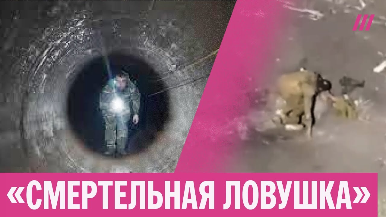 Новая операция «Труба» в Купянске. Все военные РФ погибли, утверждают ВСУ