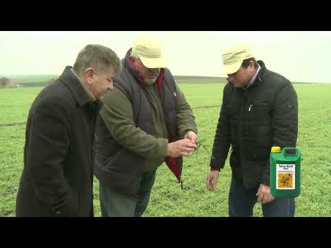 AECTRA - Terra Sorb - BT Video Production VIDEO