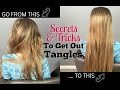 Secrets Tricks To Get Out Tangles Hairbrushing Without Tears