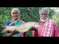 Chepala Pulusu Andhra Style || Andhra Fish Curry || Fish Pulusu Recipe