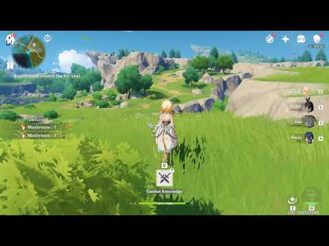 Video preview