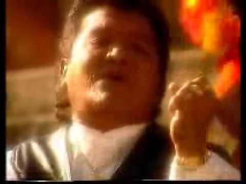 yolanda carranza el parrandero el gavilanpollero