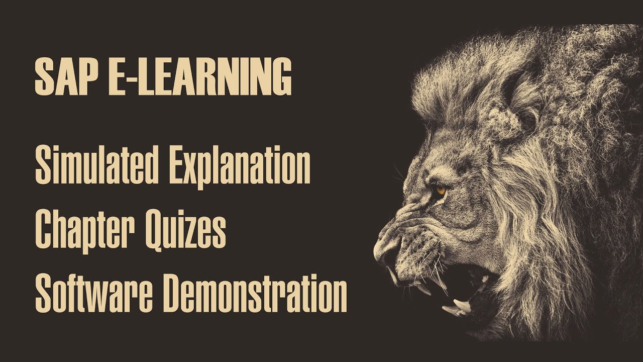 ERPVideos.com SAP E-learning video training - SAP Training What is E-learning and SAP E-learning