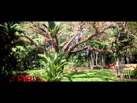 Jose Peguero Lo Tengo Todo