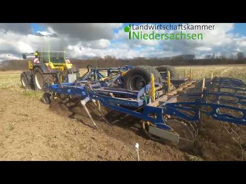 Bodenbearbeitung als Glyphosatersatz