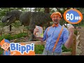 Blippi Learns About Dinosaurs At The Natural History Museum Fun And Educational Videos For Kids