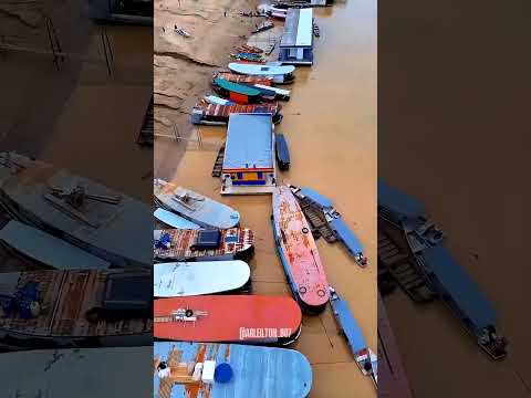 FEIJÓ - ACRE, A TERRA DO AÇAÍ